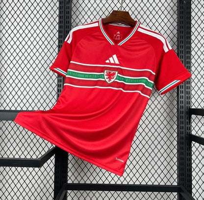 Maillot du Pays de galles domicile coupe du monde 2026