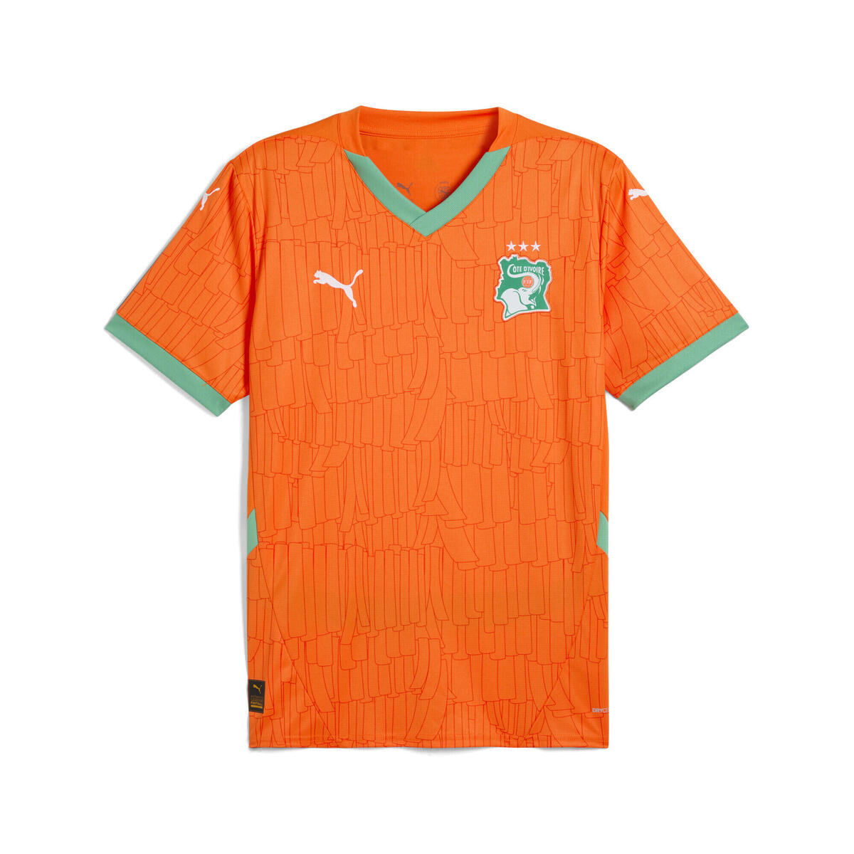 Maillot Cote d'Ivoire Domicile 2025